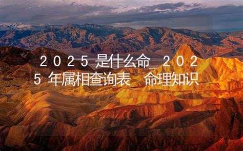 2025年属相